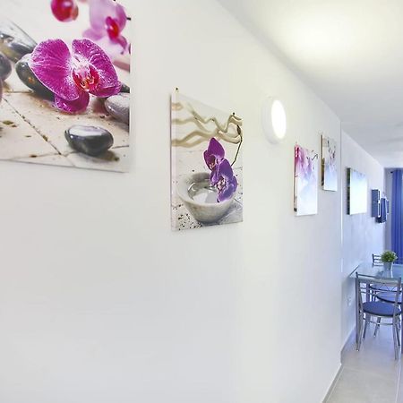 Studio With Sea View In Borinquen Playa Feñabe Екстериор снимка